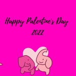 A decorative image with a sketch rendering of a bouquet of roses in the upper left hand corner, a sketch rendering of a yellow teddy bear in the upper right hand corner, a sketch rendering of two light pink birds in front of a heart in the bottom left hand corner, a sketch rendering of two light pink elephants in front of a heart, and a sketch rendering of two light pink bunnies in front of a heart in the bottom right hand corner. Text reads "Happy Palentine's Day 2022" in honor of Valentine's Day 2022, Galentine's Day 2022, and Palentine's Day 2022.