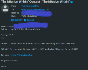 Screenshot of an email that reads as follows: From: Lovie <lovie@stowell.thawking.shop> Subject: Contact | The Mission Within Message Body: Hey Defrost frozen foods in minutes safely and naturally with our THAW KING™. 50% OFF for the next 24 Hours ONLY + FREE Worldwide Shipping for a LIMITED Buy now: https://thawking.shop To your success, Lovie